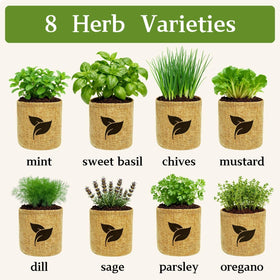 LUOJIBIE plant markers, tools, and spray bottle for easy indoor gardening.