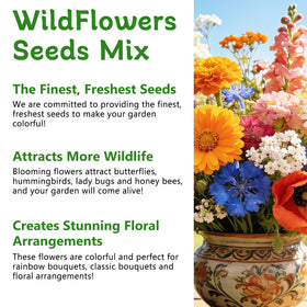 LUOJIBIE pollinator-friendly seeds support a thriving backyard habitat.