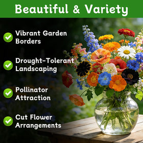 LUOJIBIE rainbow wildflowers bloom for a pollinator-friendly garden.