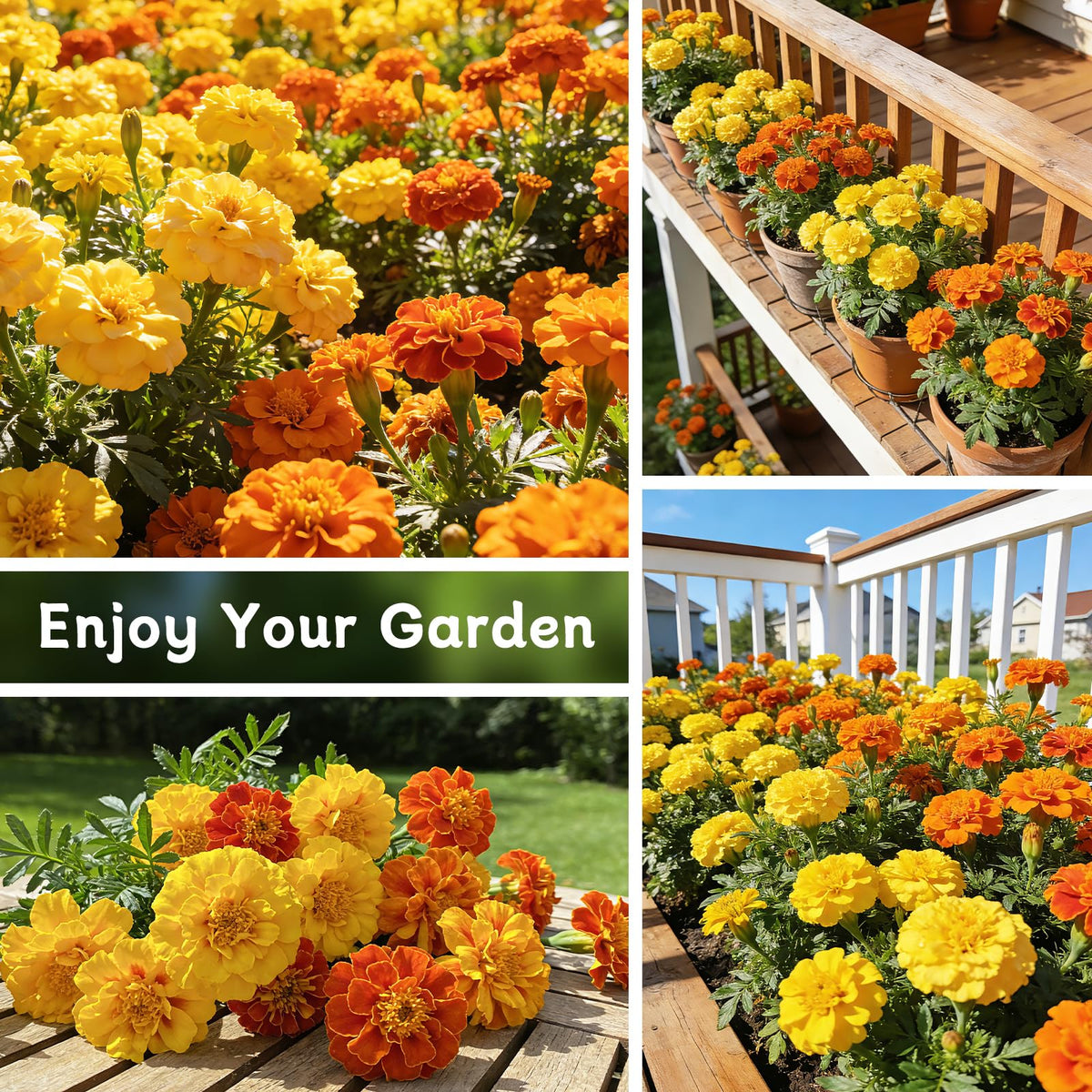 LUOJIBIE resealable-pack marigold seeds for long-lasting freshness