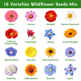LUOJIBIE zinnia-cosmos-mix seeds add bright color and long-lasting blooms.