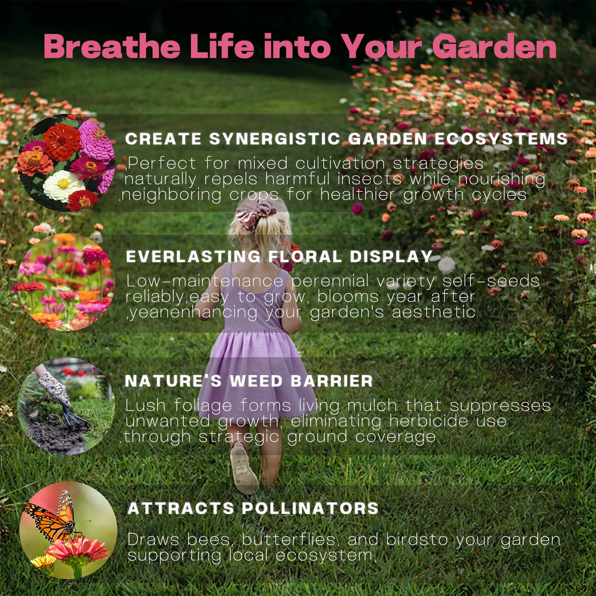LUOJIBIE eco-friendly packaging includes planting instructions for gifting