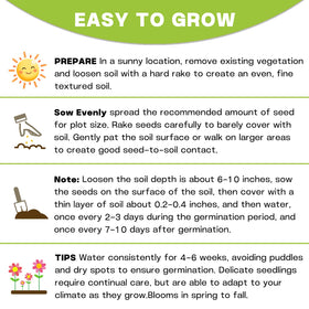 LUOJIBIE zinnia seeds germination stage shown for beginner-friendly planting
