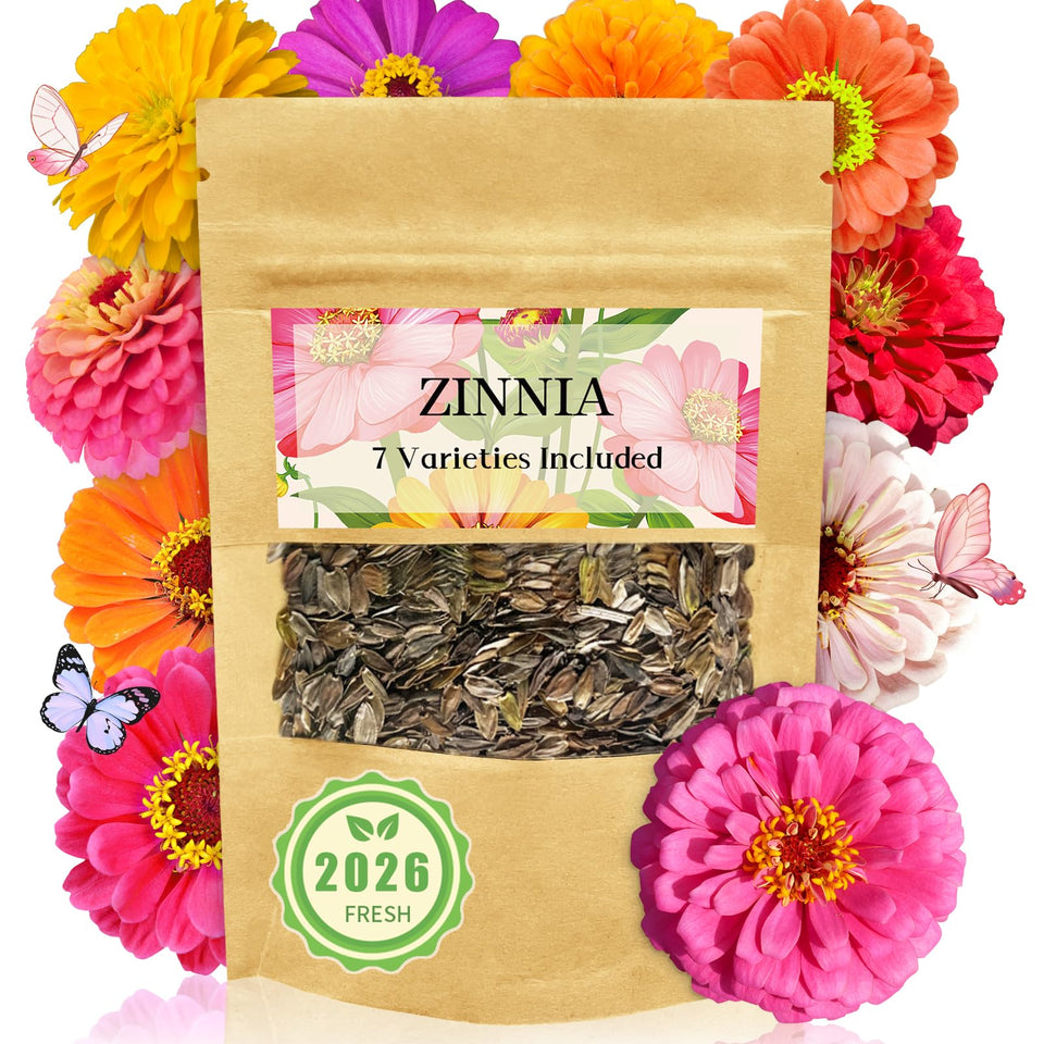 LUOJIBIE zinnia seeds bulk pack for vibrant garden beds with pollinator-friendly borders.