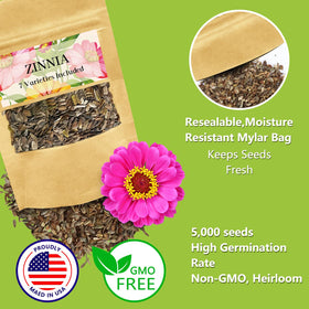 LUOJIBIE zinnia seeds giant blooms add height and color to outdoor spaces.