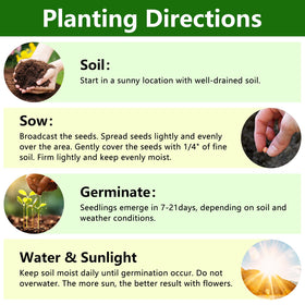 LUOJIBIE zinnia seeds shown with simple planting steps for beginners