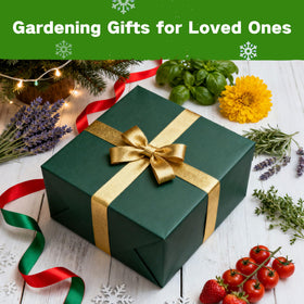 LUSH&DEW acrylic seed container shows hand-packed gift-ready presentation.