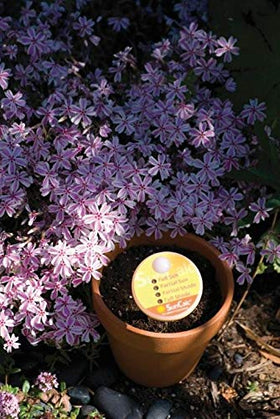 Luster Leaf SunCalc full shade reading informs low-light placement
