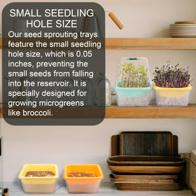 LUVCOSY adjustable humidity vent dome helps airflow for seedlings.