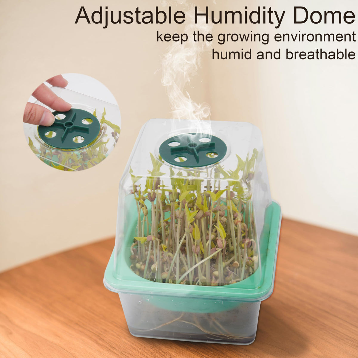 LUVCOSY BPA-free PP material for safe, odorless microgreen growing.