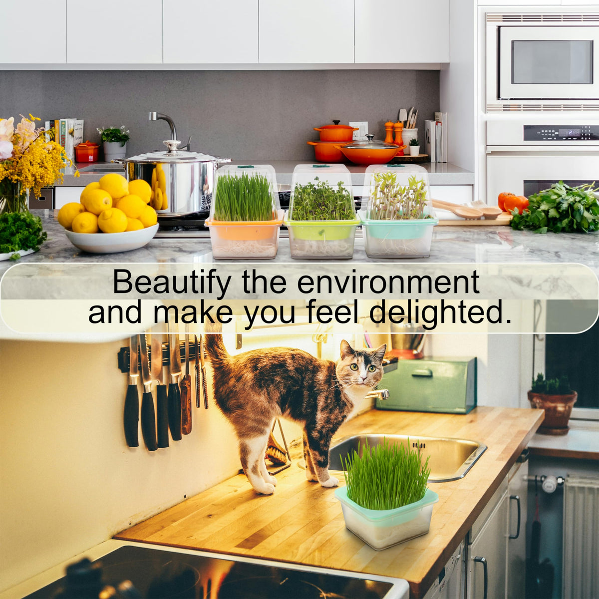 LUVCOSY kitchen-counter microgreen setup for quick harvest at home.