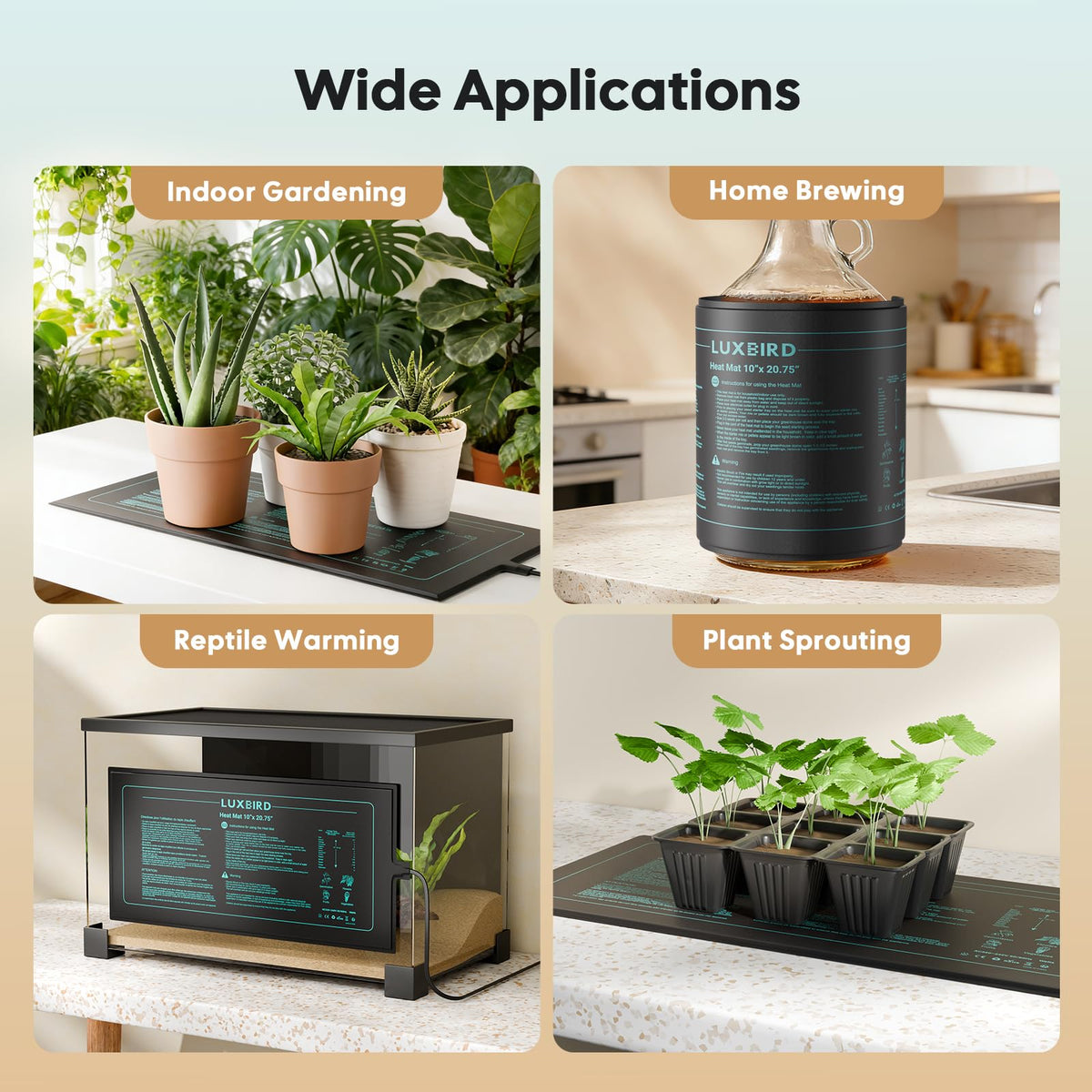 Luxbird indoor gardening solution keeps roots warm for healthier cuts.