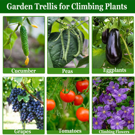 Luxdesc outdoor vine trellis suitable for vines and flowering plants in garden setups.
