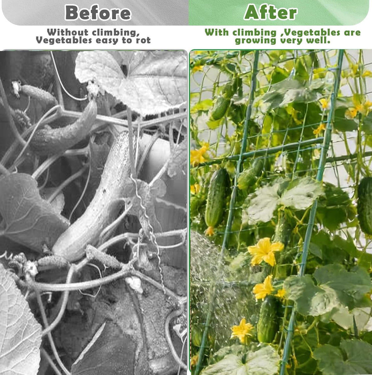 Luxdesc raised-bed plant support for vegetables showcases versatile climbing aid.