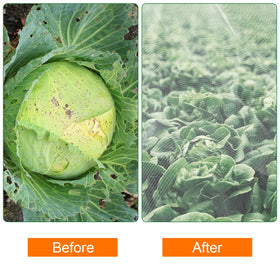 Luxiv bird and squirrel barrier net guarding fruit plants while allowing airflow