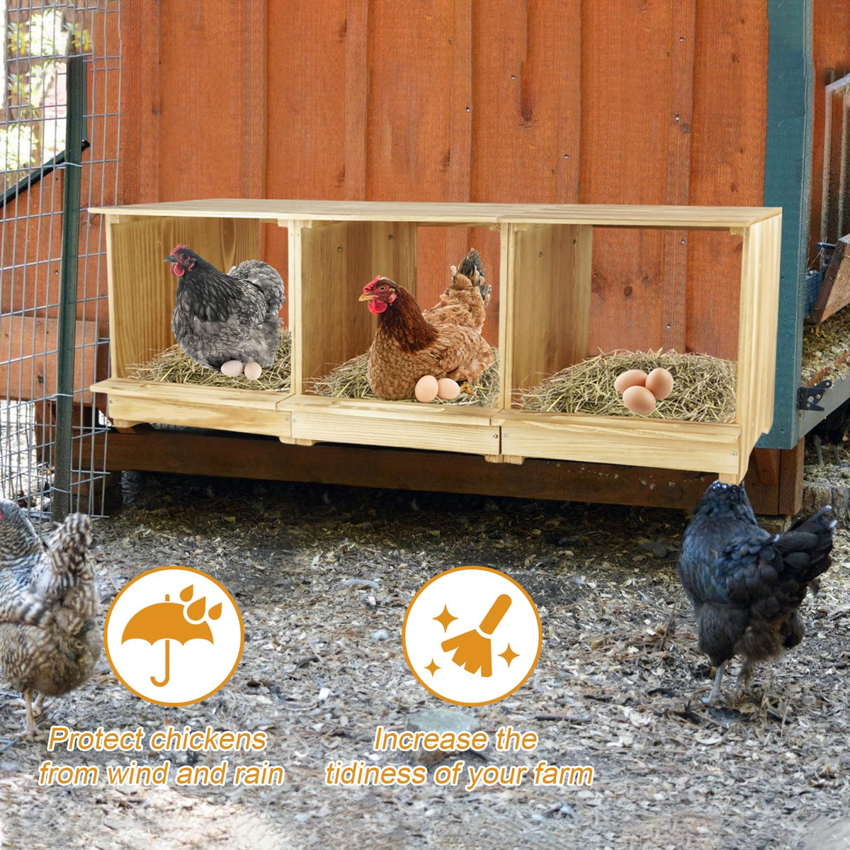 Luxurytex eggs secure perches and baffles protect eggs from rolling