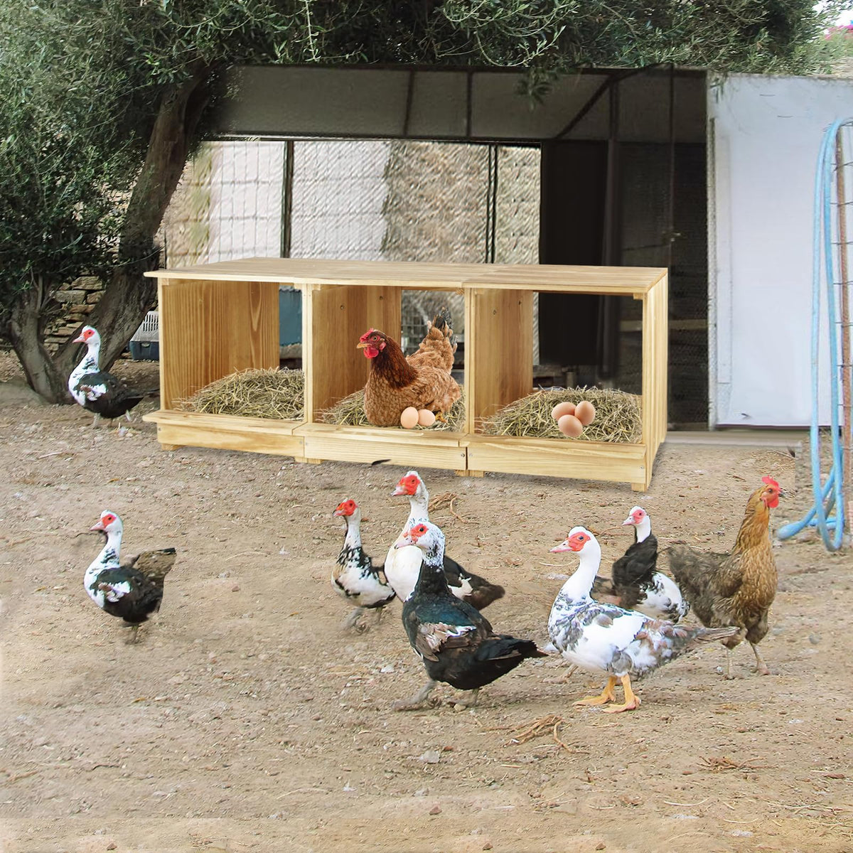 Luxurytex linking holes design allows connecting multiple boxes for more poultry