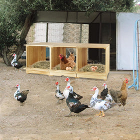 Luxurytex linking holes design allows connecting multiple boxes for more poultry