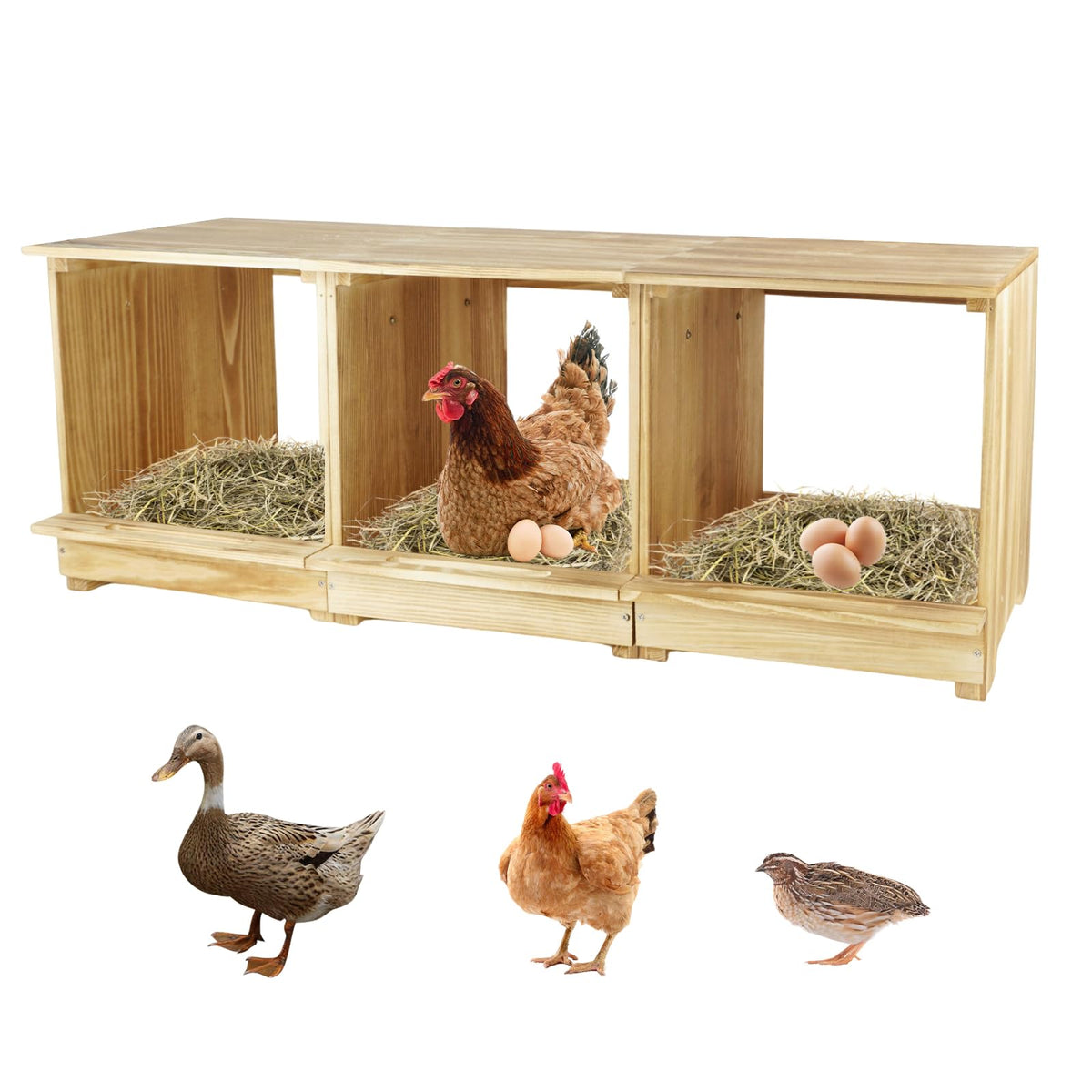 Luxurytex nesting boxes with 3 compartments offer spacious egg-laying spots