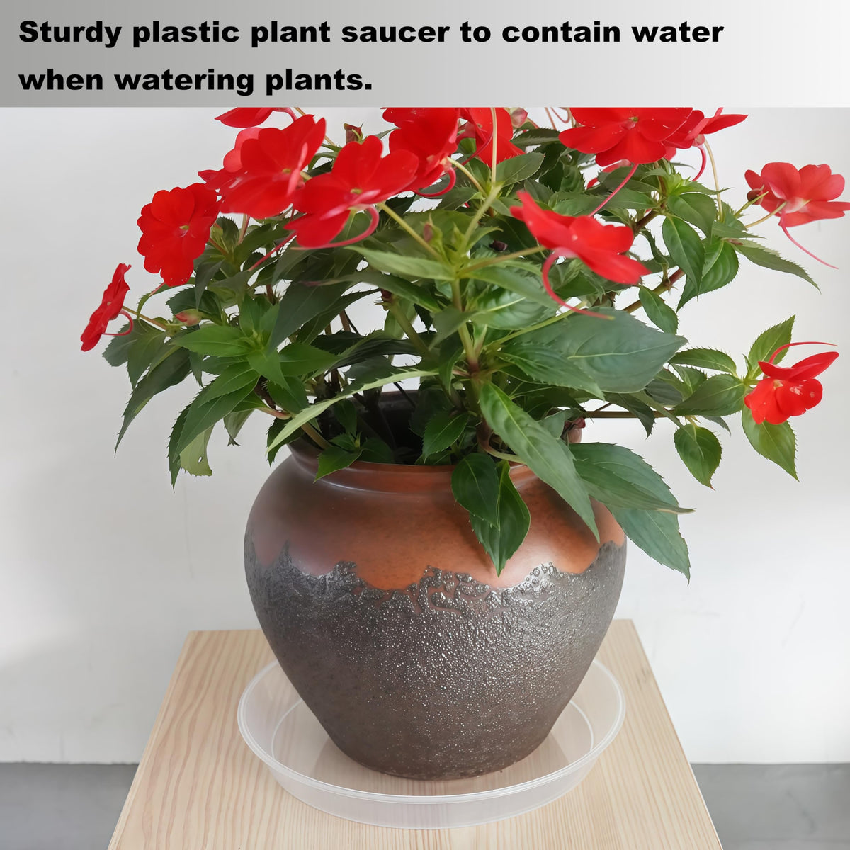 LWALRS humidity-tray uses help with plant care and spill containment.