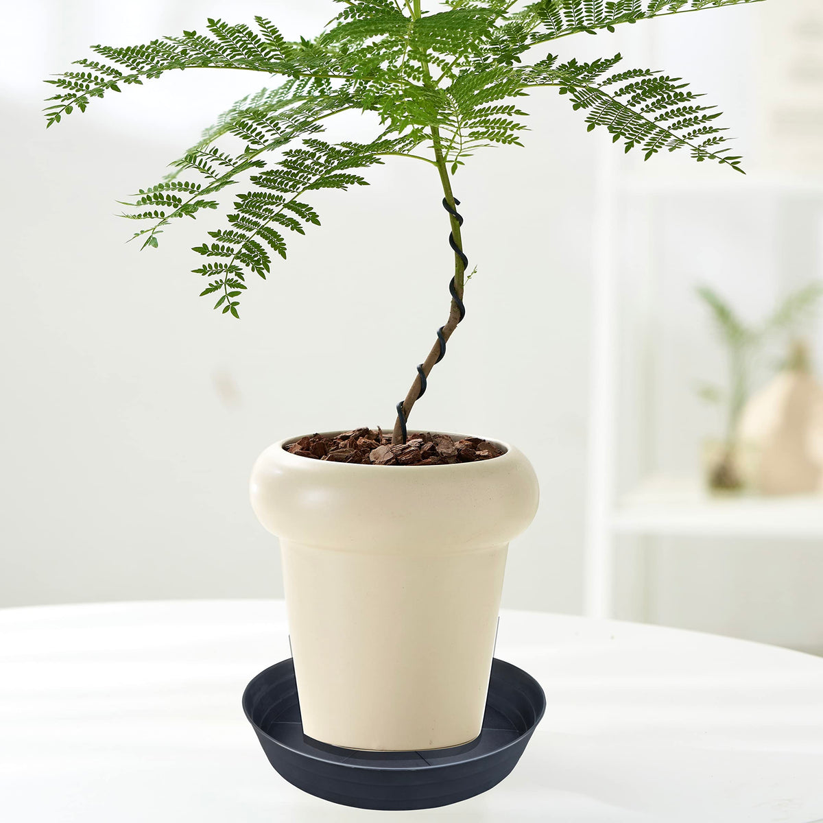 LWALRS no-holes indoor-outdoor saucer keeps moisture contained for any pot.