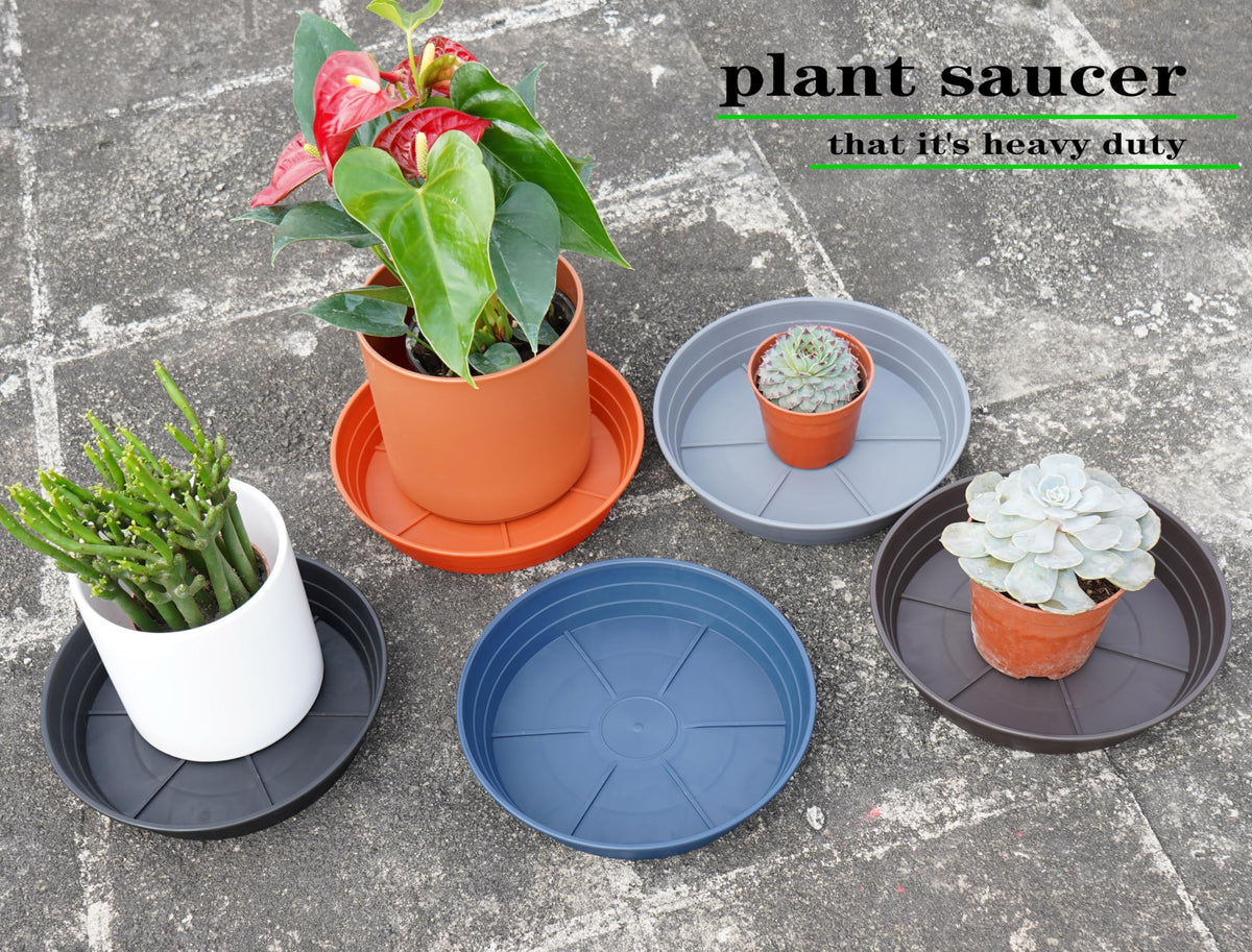 LWALRS plant saucer 18-inch two-pack provides durable extra trays