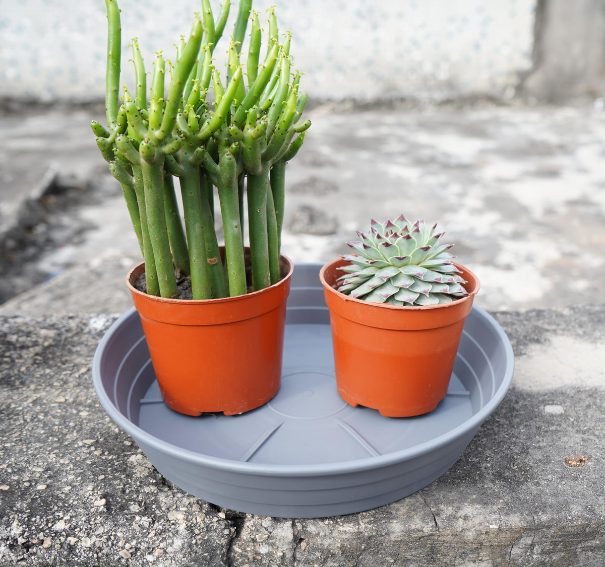 LWALRS plant saucer 18-inch waterproof tray keeps floors clean and dry