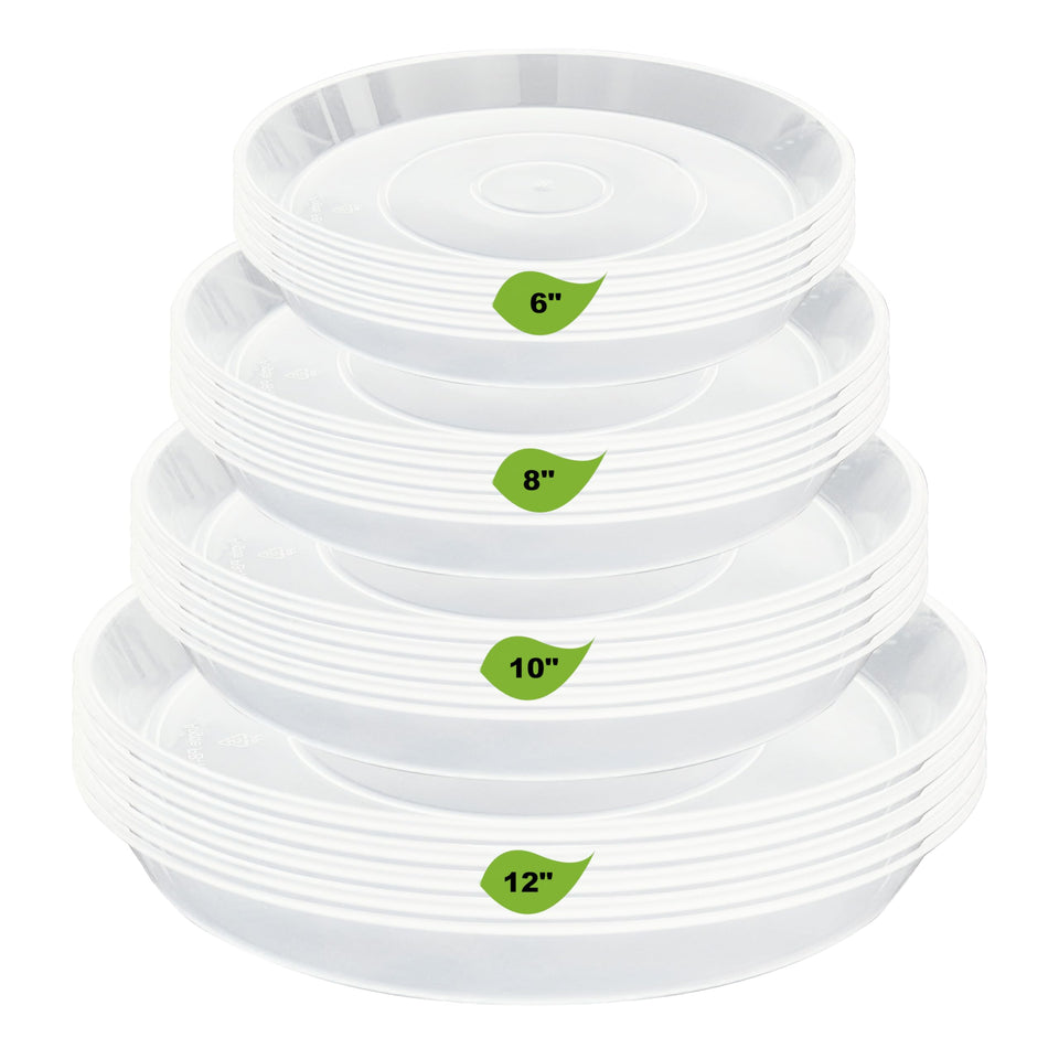 LWALRS 6-inch clear plant saucer protecting indoor surfaces from water drips.