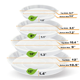 LWALRS 8-inch clear plant saucer keeps pots tidy and surfaces dry.