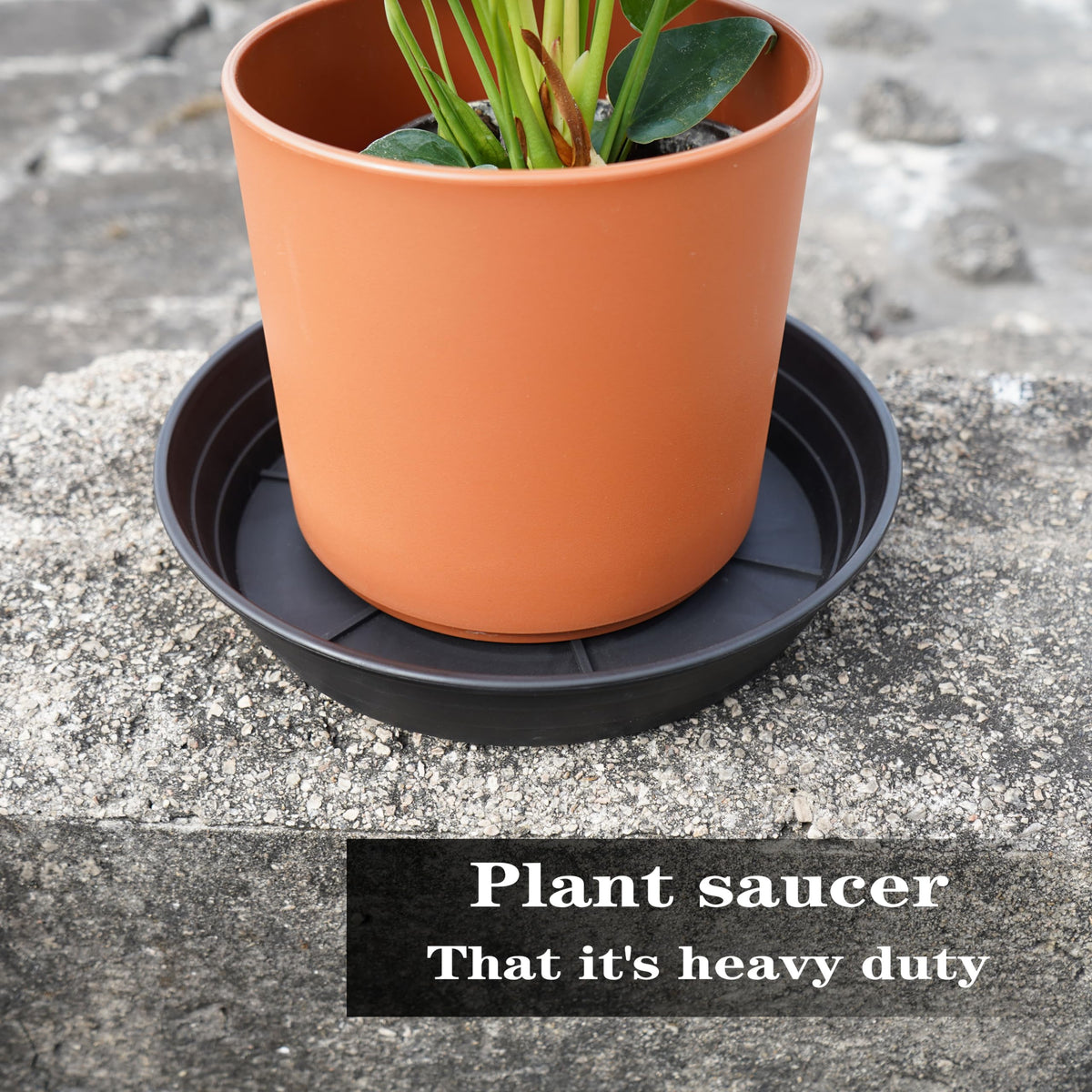 LWALRS plastic plant saucer designed for durability