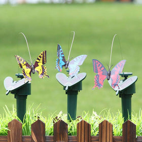LWINGFLYER butterfly color variations brighten outdoor spaces
