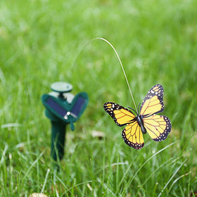 LWINGFLYER butterfly perched above a pot creates visual interest