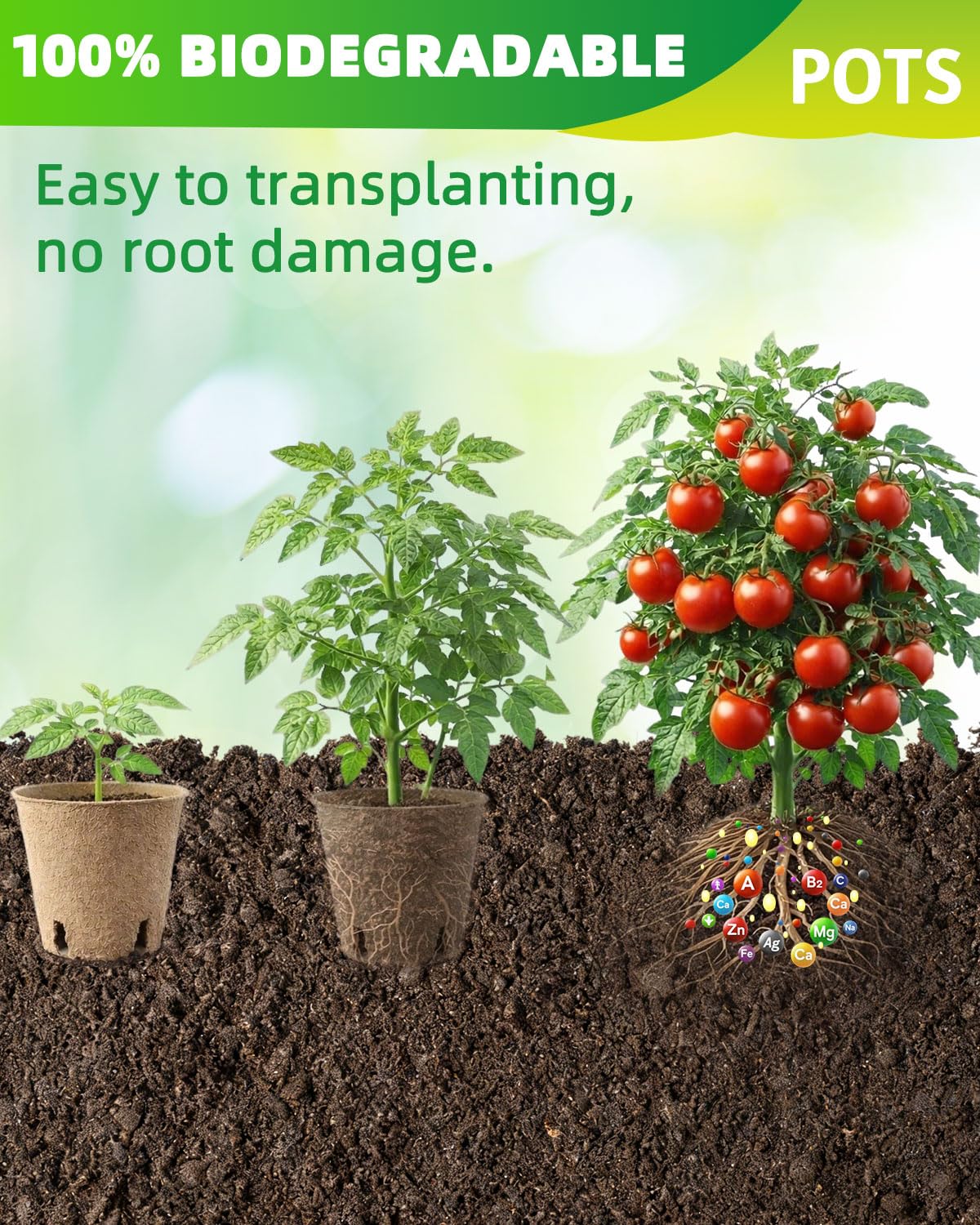 LWWTBS biodegradable seed starter pots made from recycled pulp and plant fibers