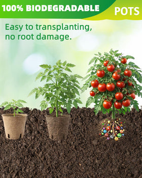 LWWTBS biodegradable seed starter pots made from recycled pulp and plant fibers