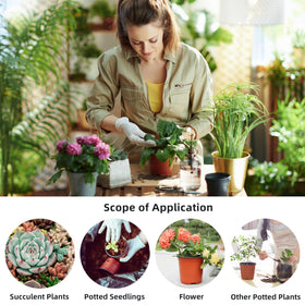 LWWTBS included labels help you track varieties at a glance.