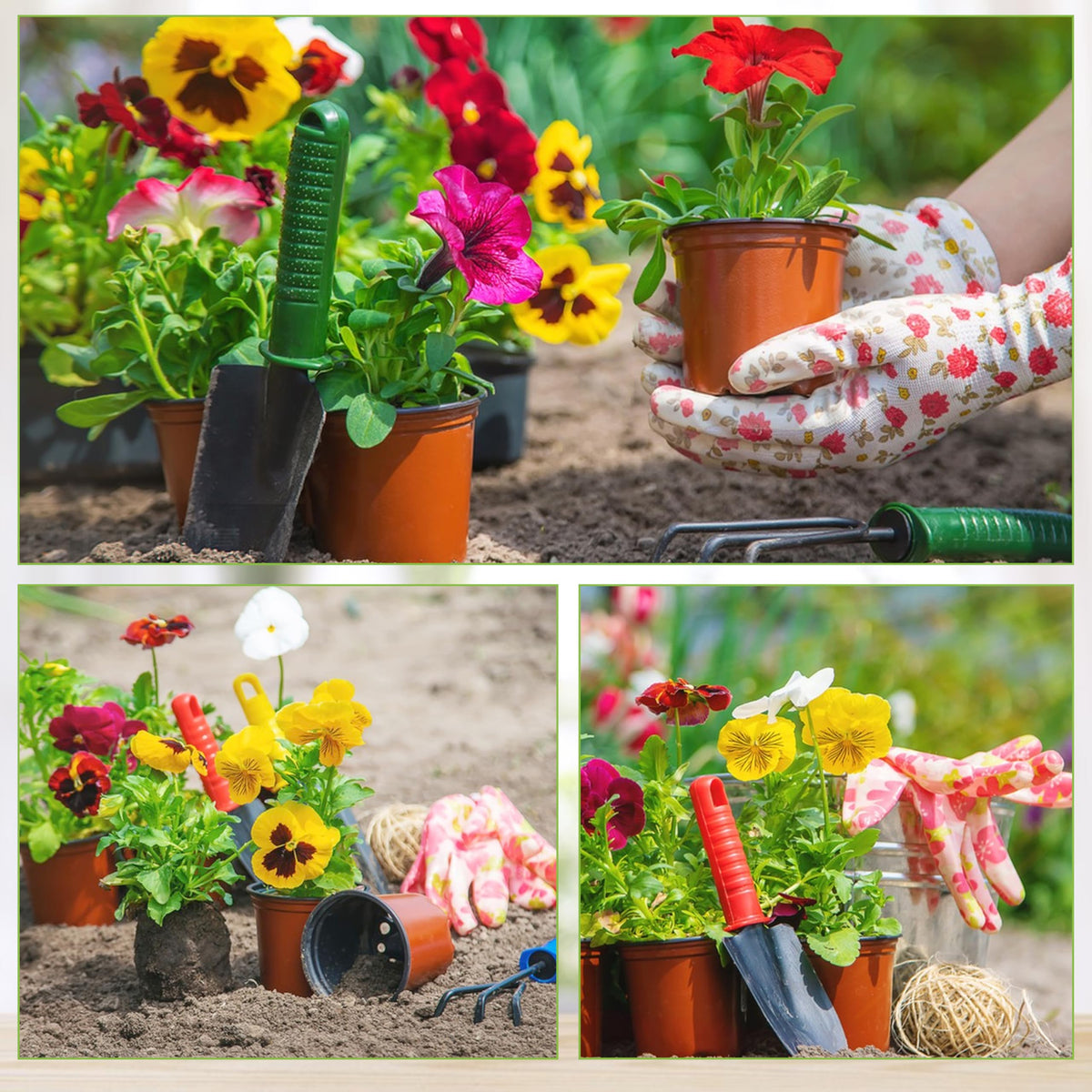 LWWTBS pots for indoor and outdoor use support long-term plant projects.