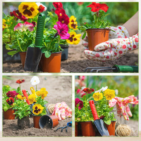LWWTBS pots for indoor and outdoor use support long-term plant projects.