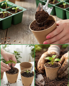 LWWTBS pots with drainage holes promote airflow and reduce overwatering
