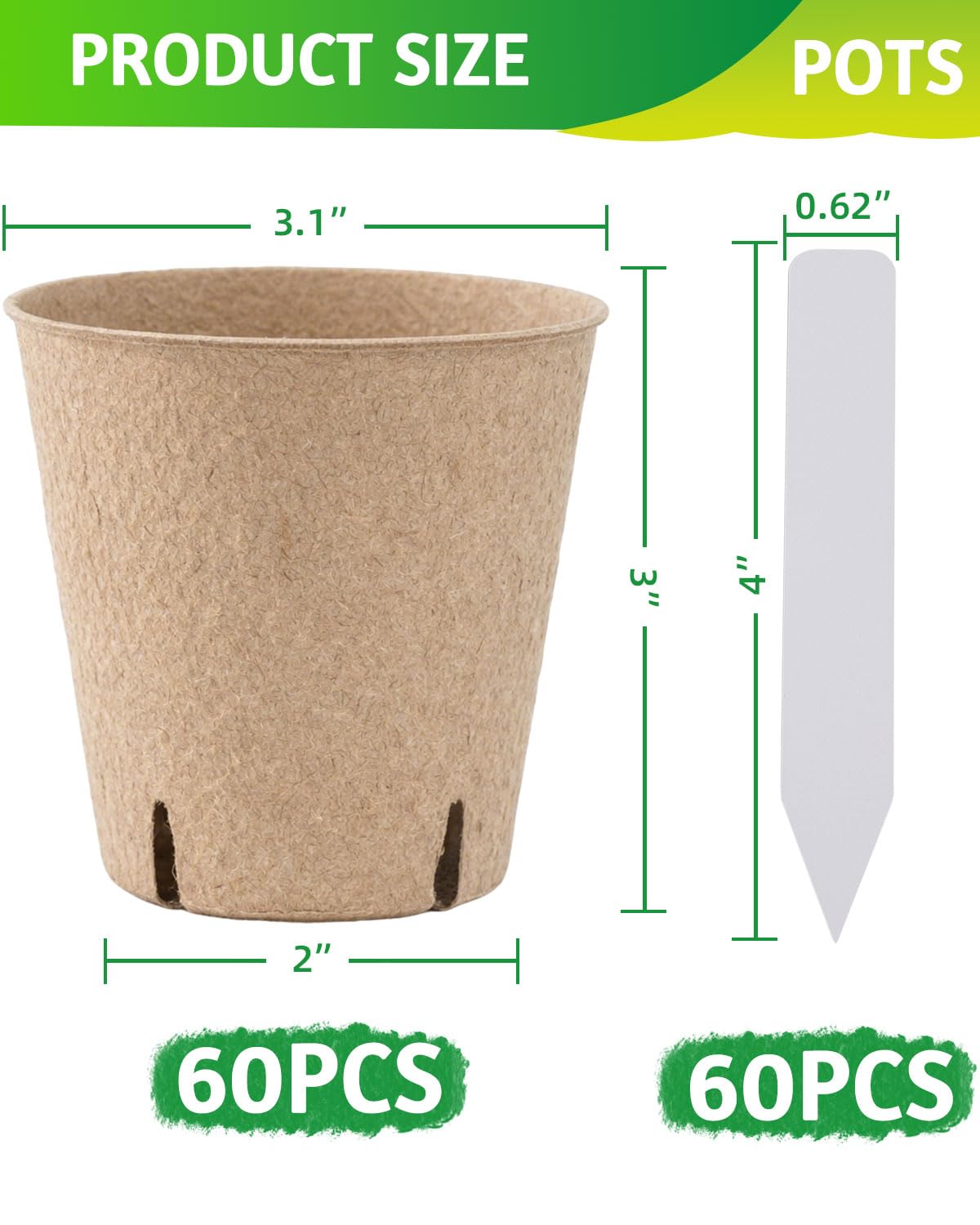 LWWTBS 3.1-inch opening peat pots simplify transplanting and root development
