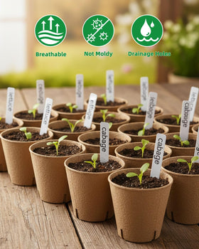 LWWTBS set supports seedling identification from tomatoes to cucumbers