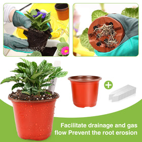 LWWTBS pot dimensions-4-inch top opening for versatile seedlings and cuttings.