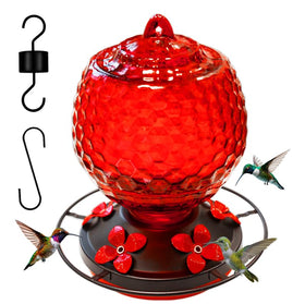 LXliangxin glass hummingbird feeder outdoors-25oz attracts hummingbirds to your garden.