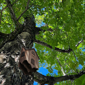 Lxnavihly Bat House promotes natural pest control through bat habitat.