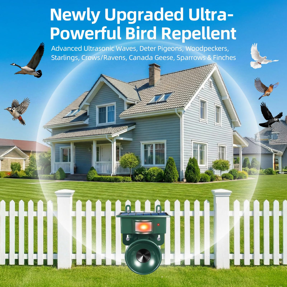 Lycxbfjia detector-equipped deterrent shows motion-sensor detection range.