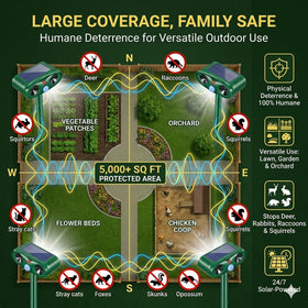 Lycxbfjia Sonic Fortress Pro ideal setup for peaceful and secure outdoor spaces