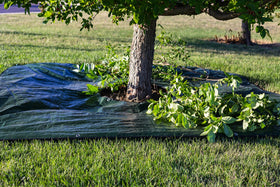 LYDKIN landscape tarp includes garden stakes to secure it on windy days.