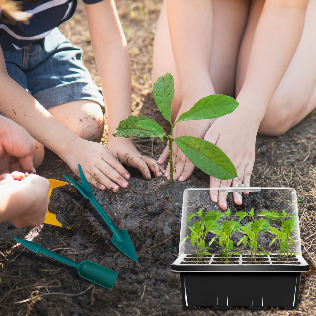 LYDTICK all-in-one indoor garden kit for flowers and vegetables