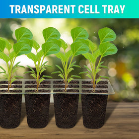 LYDTICK transparent seed trays allow quick growth monitoring