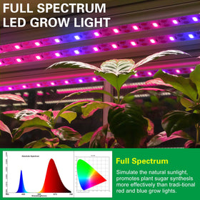 LYGZM Grow Lights full spectrum 400-720 nm for healthy growth