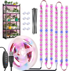 LYGZM Grow Lights indoor setup with 120 LEDs for lush seedlings